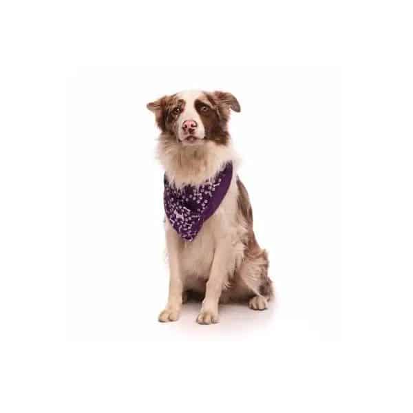 Bandana para Pet Personalizada Brindes Criativos