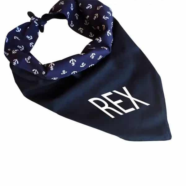 Bandana para Cachorro com Nome Bordado Brindes