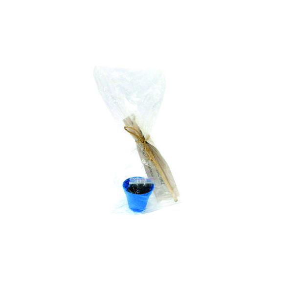 Kit lápis semente