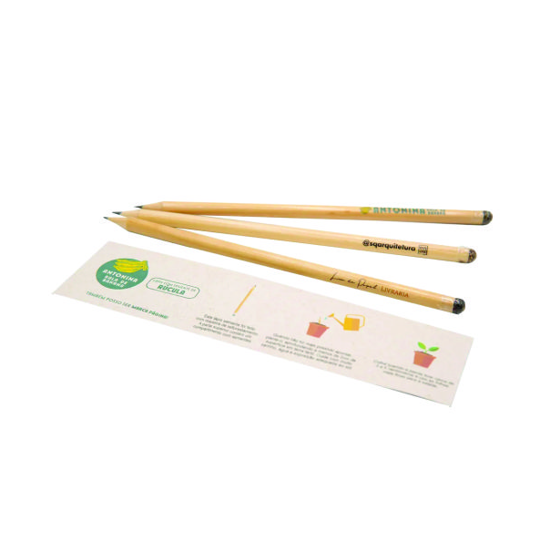 Lápis com semente brinde