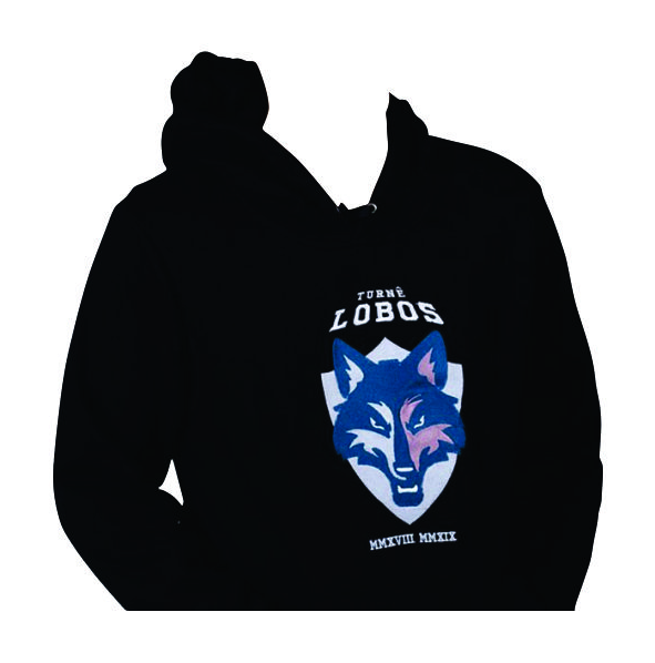 Moletom Blusa Personalizado Sua Ideia Logo Estampa Foto