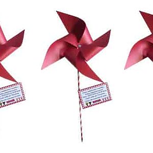 Catavento de Papel Modelo Convite