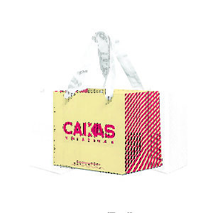 Kit com 50 Sacolas PP Personalizada
