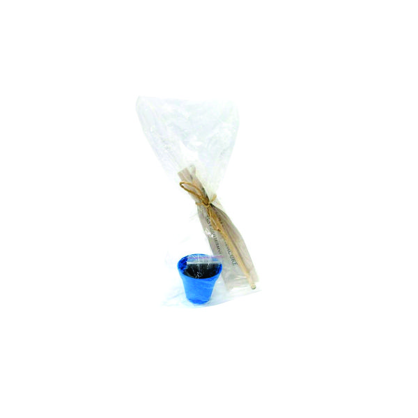 Kit lápis semente