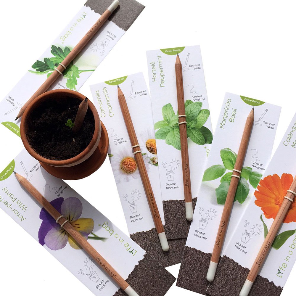 Lápis Ecológico Tempero Semente