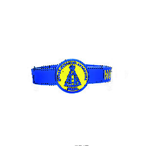 Pulseira de Borracha Nossa Senhora