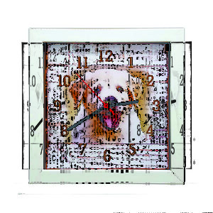 Relógio De Parede Personalizado Fotos Pets Animais Temas
