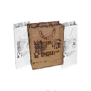 Sacolas Papel Personalizadas Com Logo 18x09x22